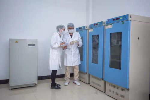 甘肃开启对外贸易新篇章 首家出口食品生产企业获海关高级认证与高企认定双重殊荣